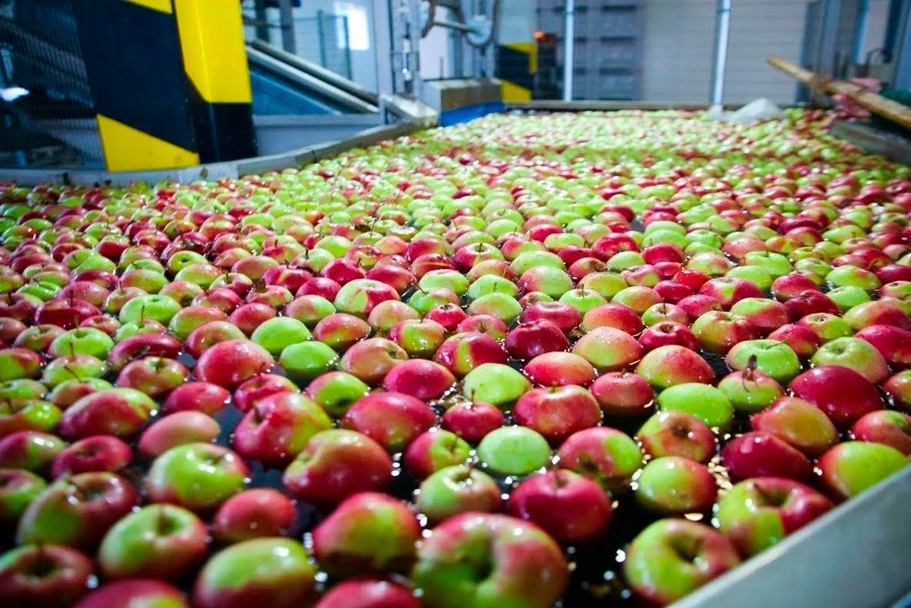 Строительство блочно-модульного энергоцентра 2,1 МВт для агрофирмы в Липецкой области