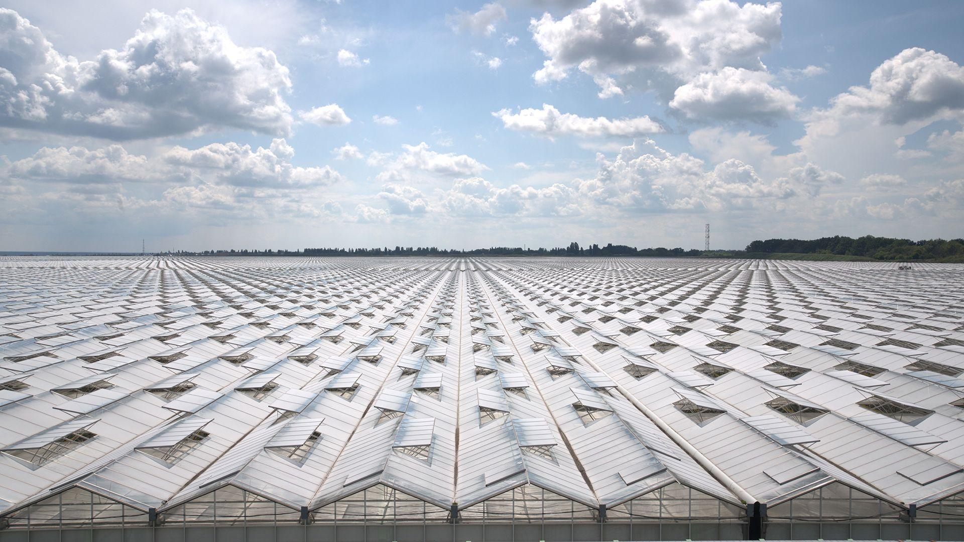 Слайд 2: Заказчик строительства - ООО "ТК "Овощи Черноземья", генеральный подрядчик «Агростройподряд». ООО "ТК "Овощи Черноземья"...