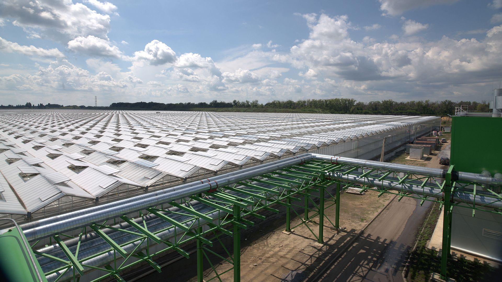 Слайд 3: Заказчик строительства - ООО "ТК "Овощи Черноземья", генеральный подрядчик «Агростройподряд». ООО "ТК "Овощи Черноземья"...