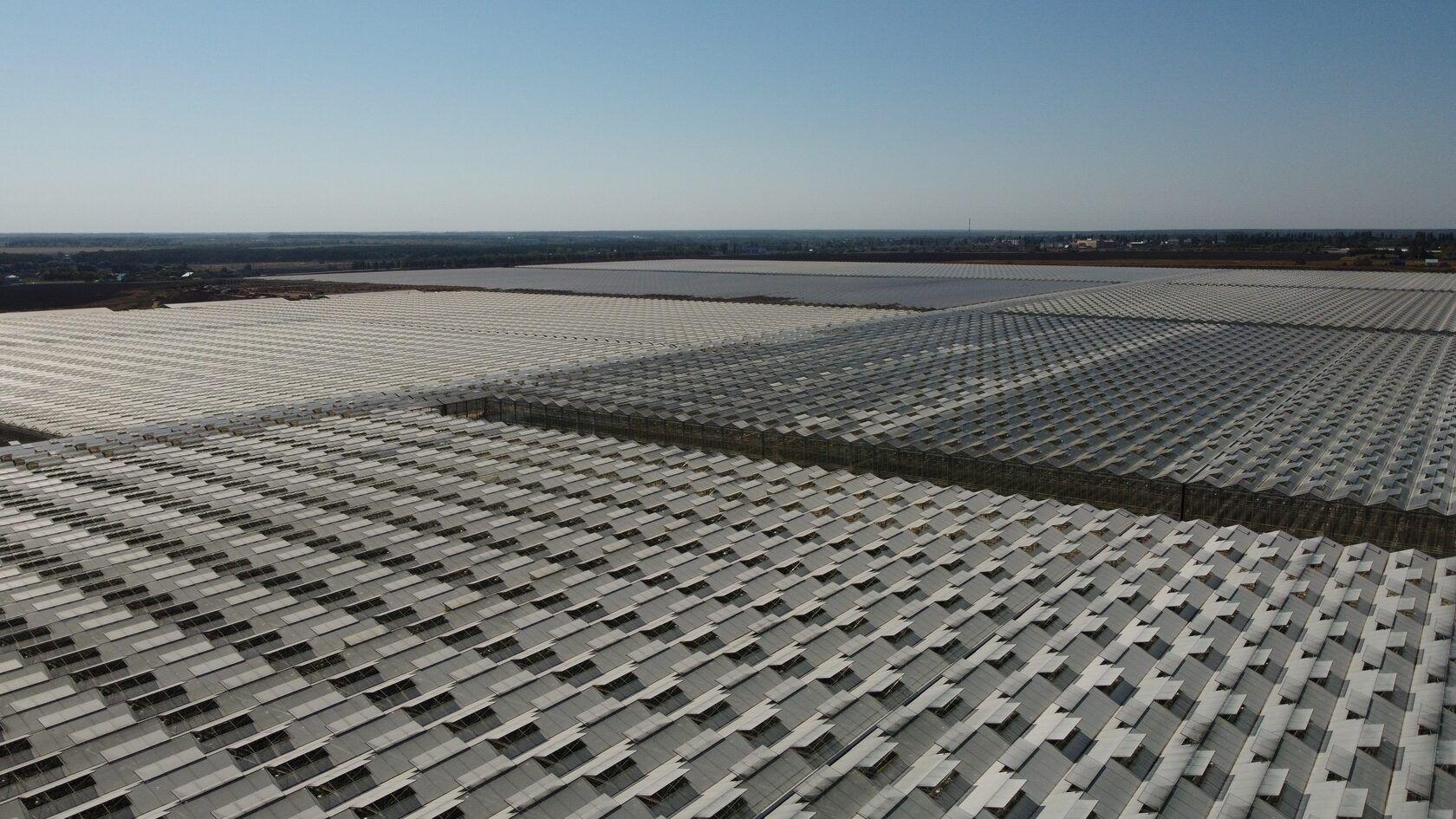 «Валдекс Энергетика» построит энергоцентр для нового тепличного комплекса «ЭКО-Культуры» в Ростовской области