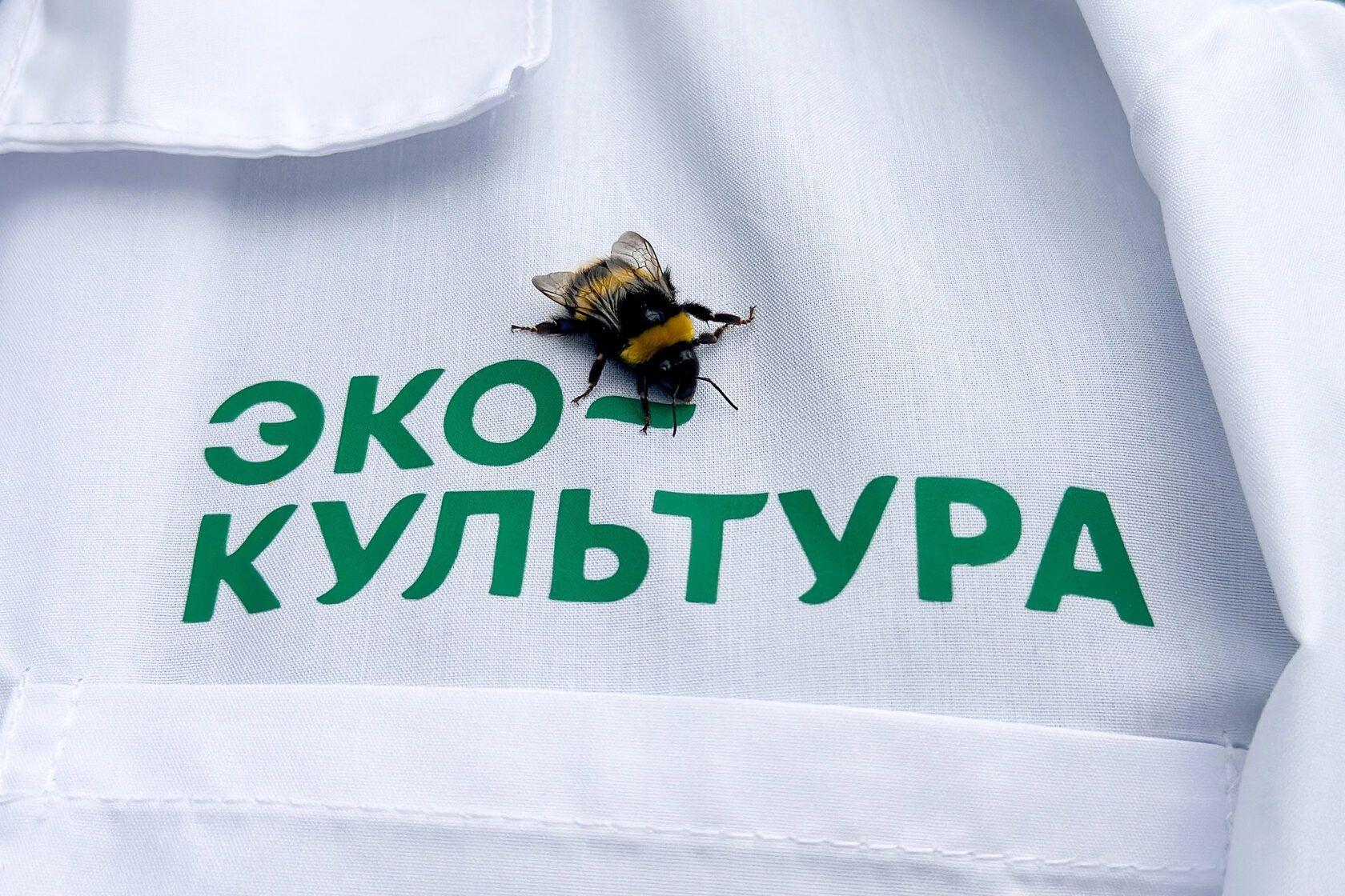 «Валдекс Энергетика» построит крупнейший энергоцентр с системой утилизации CO₂ для АПХ «ЭКО-Культура» в Липецкой области